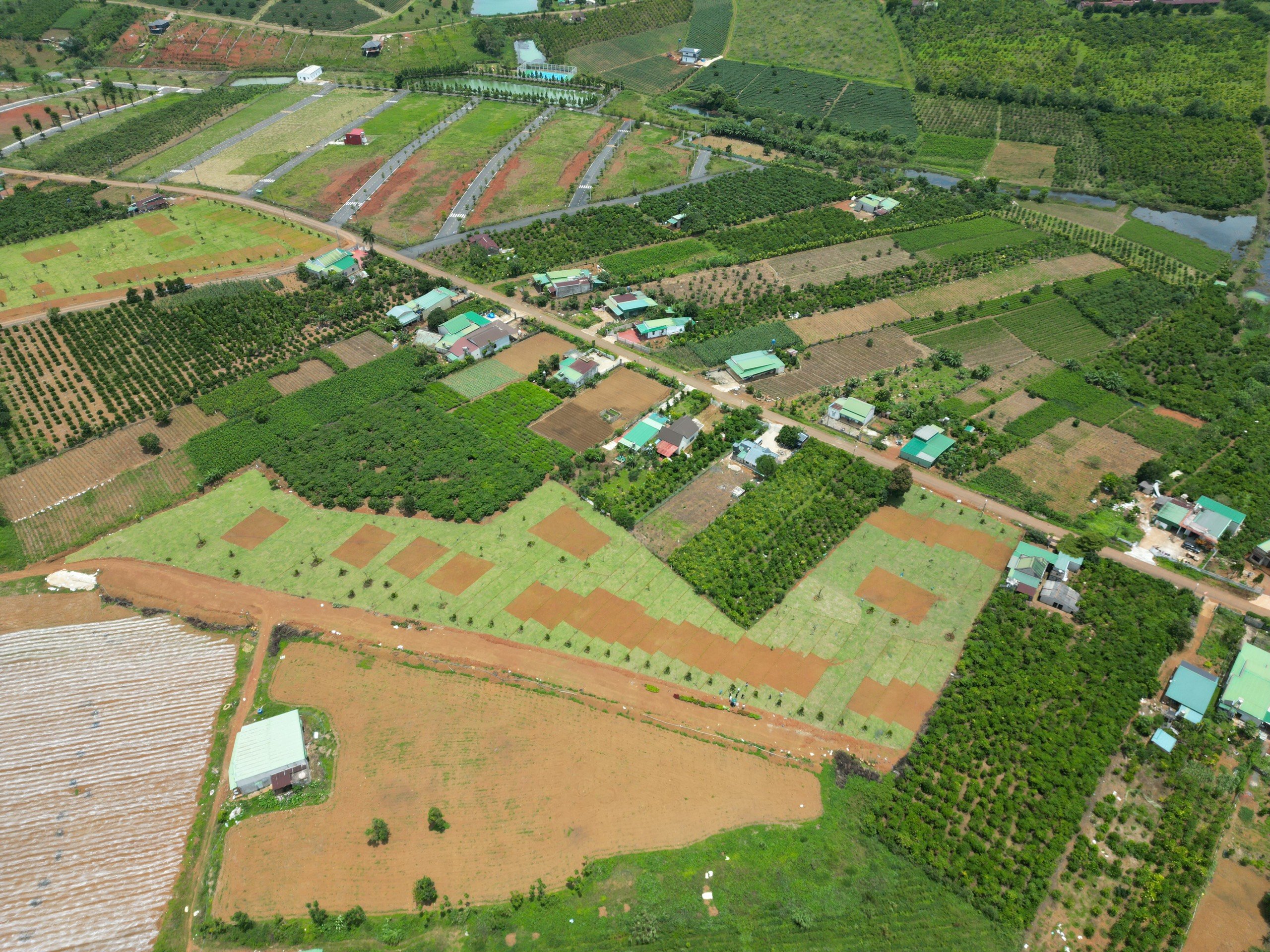 Cần bán Đất nền dự án Xã Lộc Tân, Bảo Lâm, Diện tích 200m², Giá 899 Triệu 6