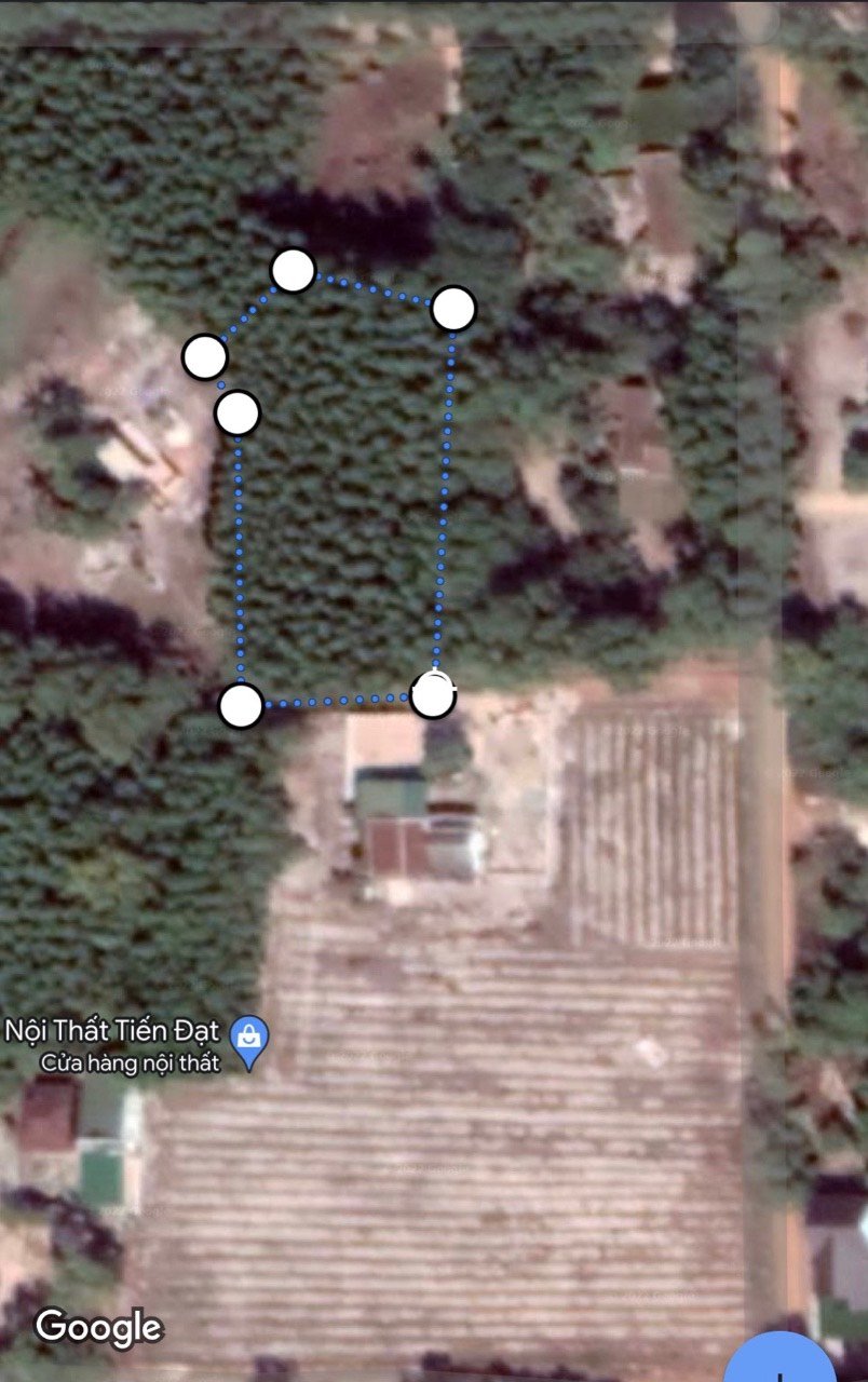 Cần bán Đất Xã Sơn Mỹ, Hàm Tân, Diện tích 2560m², Giá Thương lượng 1