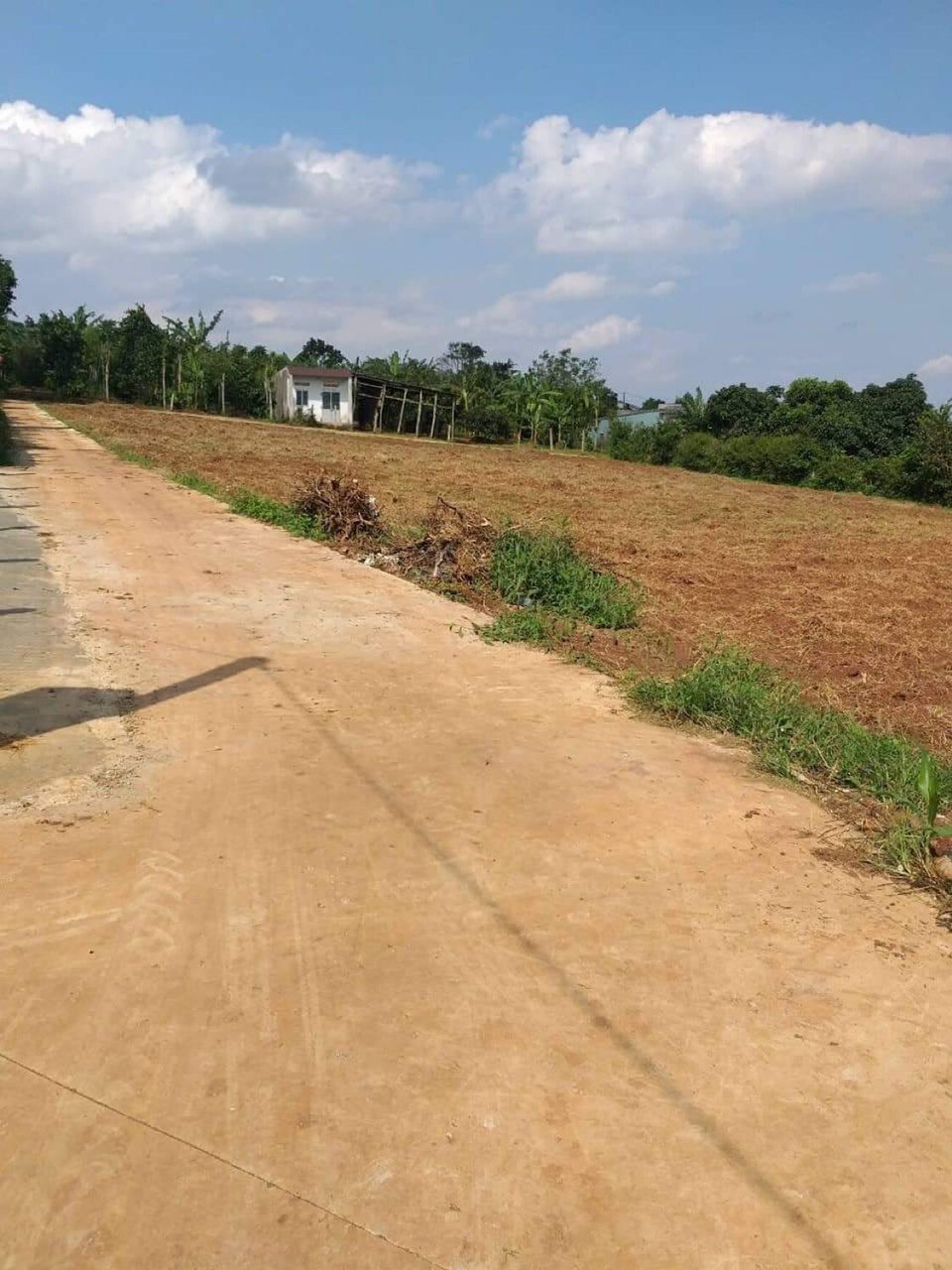 Cần bán Đất đường 14, Xã Cư Bao, Diện tích 160m², Giá 350 Triệu