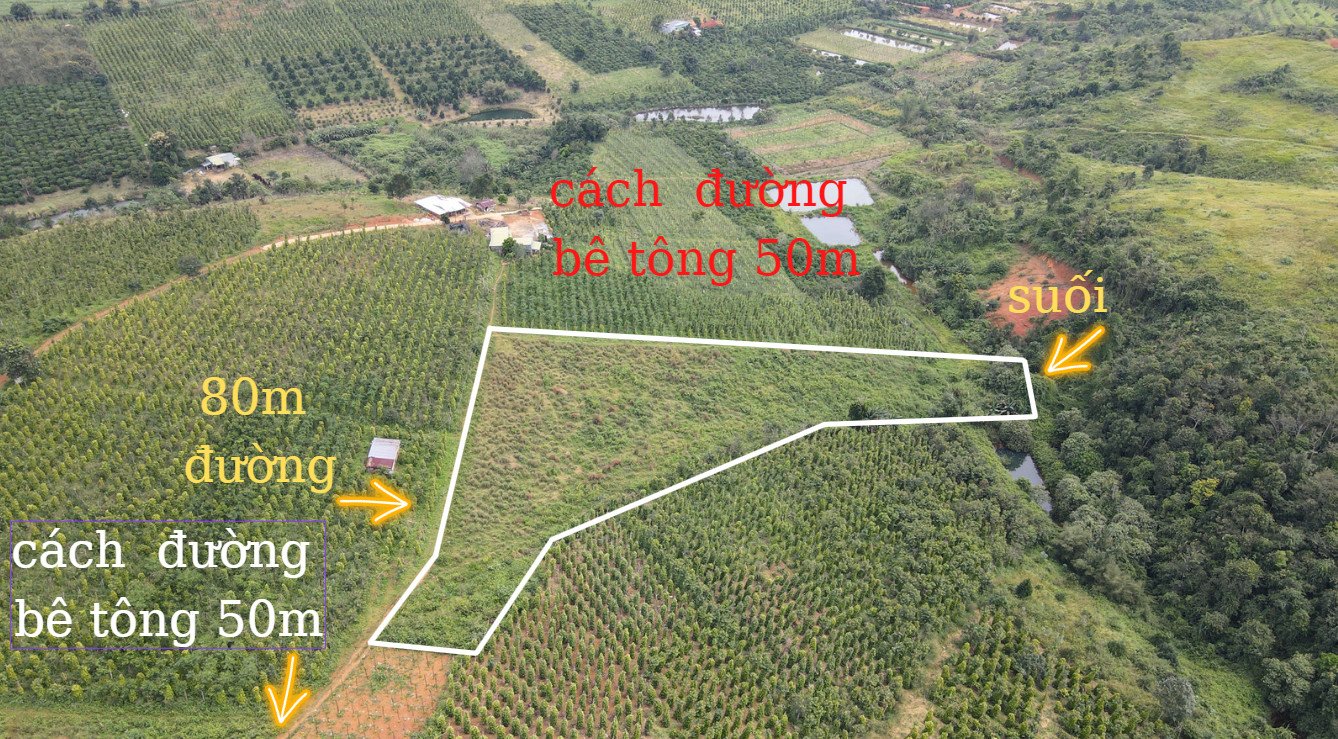 Cần bán Đất đường Quốc Lộ 28B, Xã Đắk Ha, Diện tích 7000m², Giá 1.050.000.000 Tỷ 2