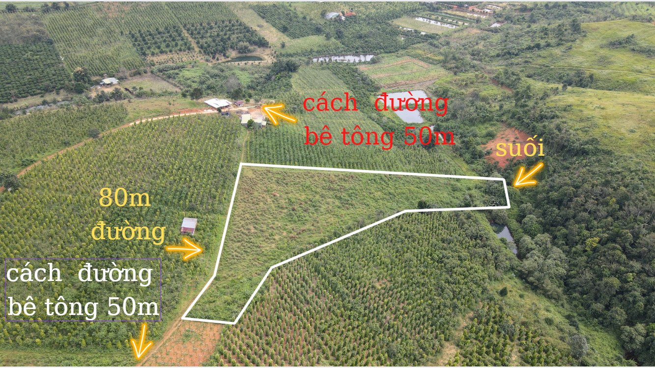 Cần bán Đất đường Quốc Lộ 28B, Xã Đắk Ha, Diện tích 7000m², Giá 1.050.000.000 Tỷ 3