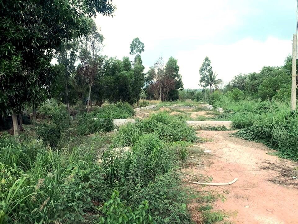 Cần bán Đất Xã Ninh Lộc, Ninh Hòa, Diện tích 381m², Giá 3.400.000.000 Tỷ 6