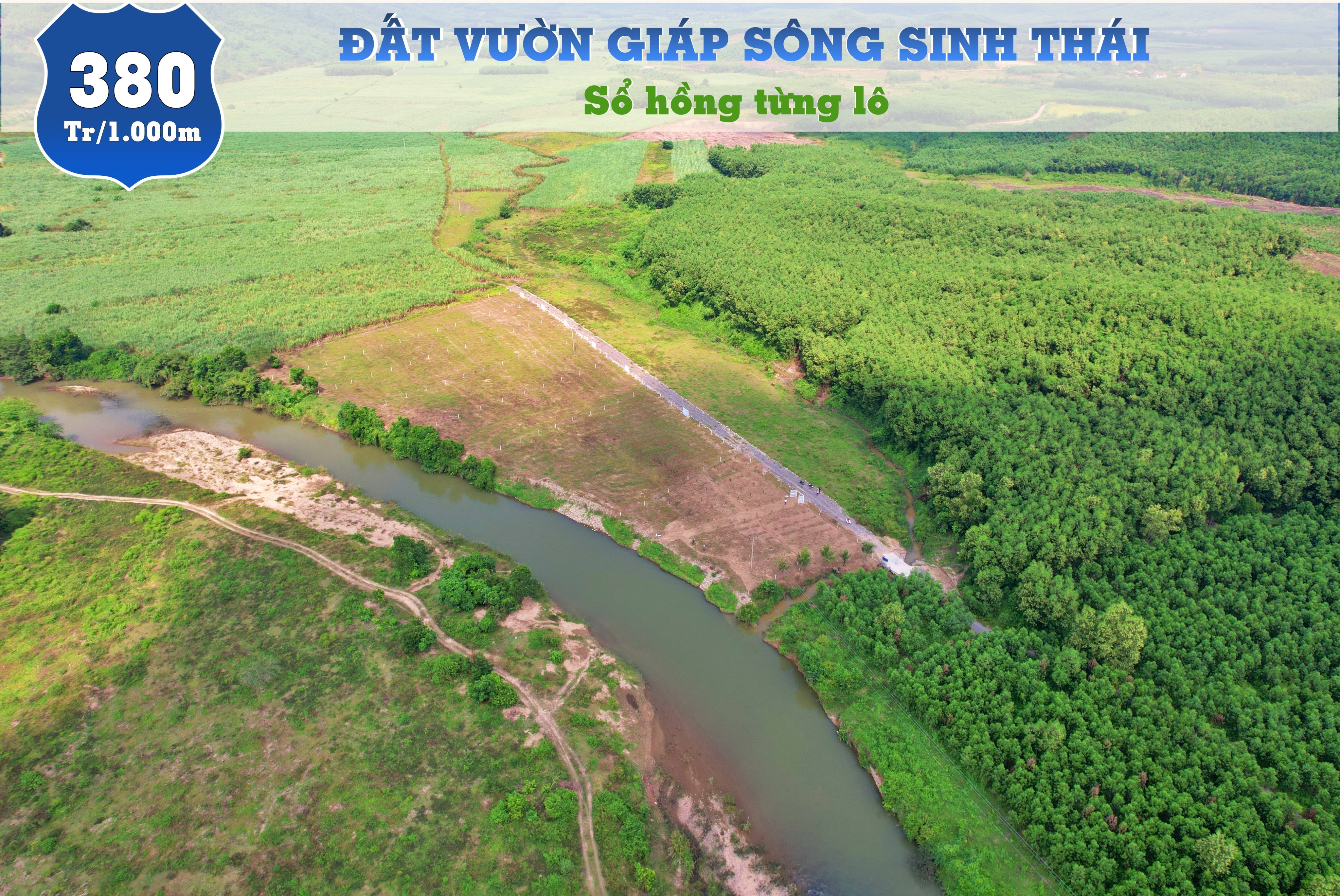 Đất vườn view sông sổ hồng công chứng ngay! 7