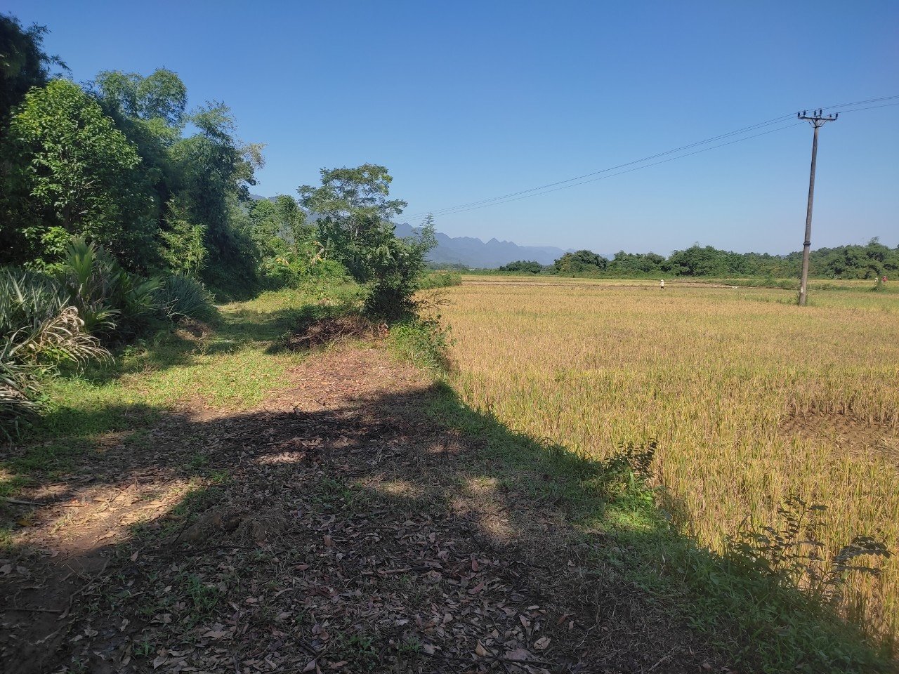 1000M/200m Tc View Cánh Đồng Giá Chưa Tới 400tr Tại Lạc Sơn - HB. 4