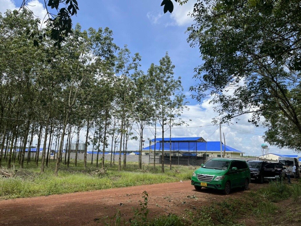 2 lô đất Sào 1000m2 ở Lộc Ninh-Bình Phước cần bán, giá 578 triệu/lô. Thích hợp mua đầu tư sinh lời 2