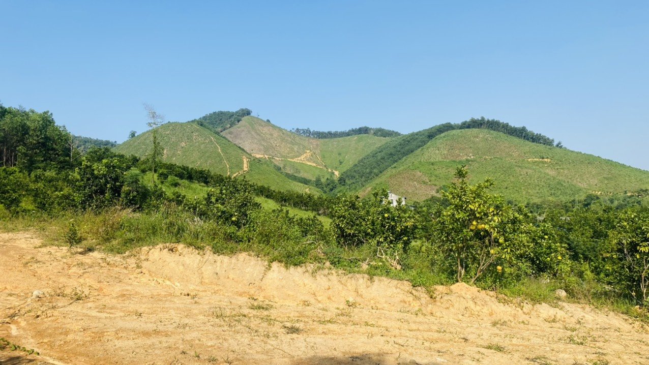Cần bán Đất đường Quốc Lộ 12B, Xã Tú Sơn, Diện tích 17000m², Giá Thương lượng 7
