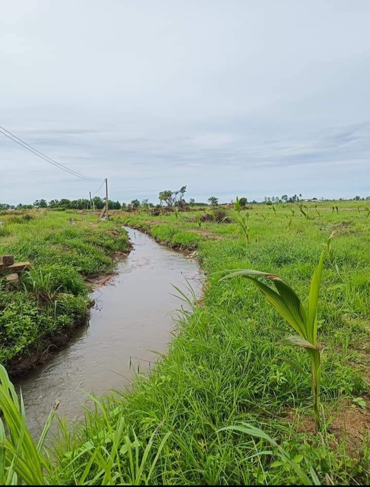 Bán mảnh vườn gần nút giao cao tốc Phan Thiết - Vĩnh Hảo