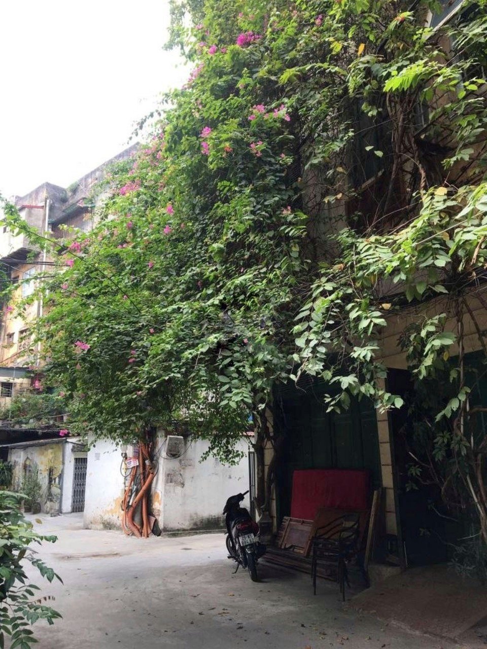 Cho thuê nhà riêng phố Nguyễn Ngọc Doãn, nội thất cơ bản, ô tô đỗ cửa.