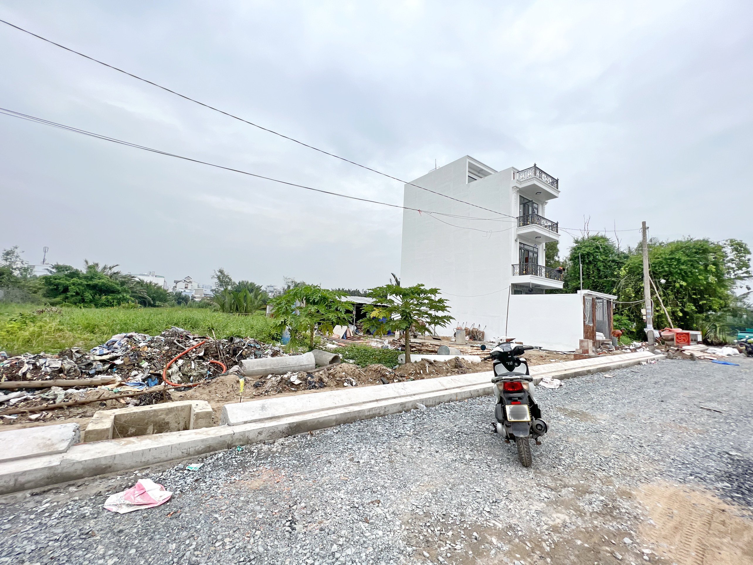 Cần bán Đất đường Số 37, Phường Bình Thuận, Diện tích 62m², Giá 9.6 Tỷ 2