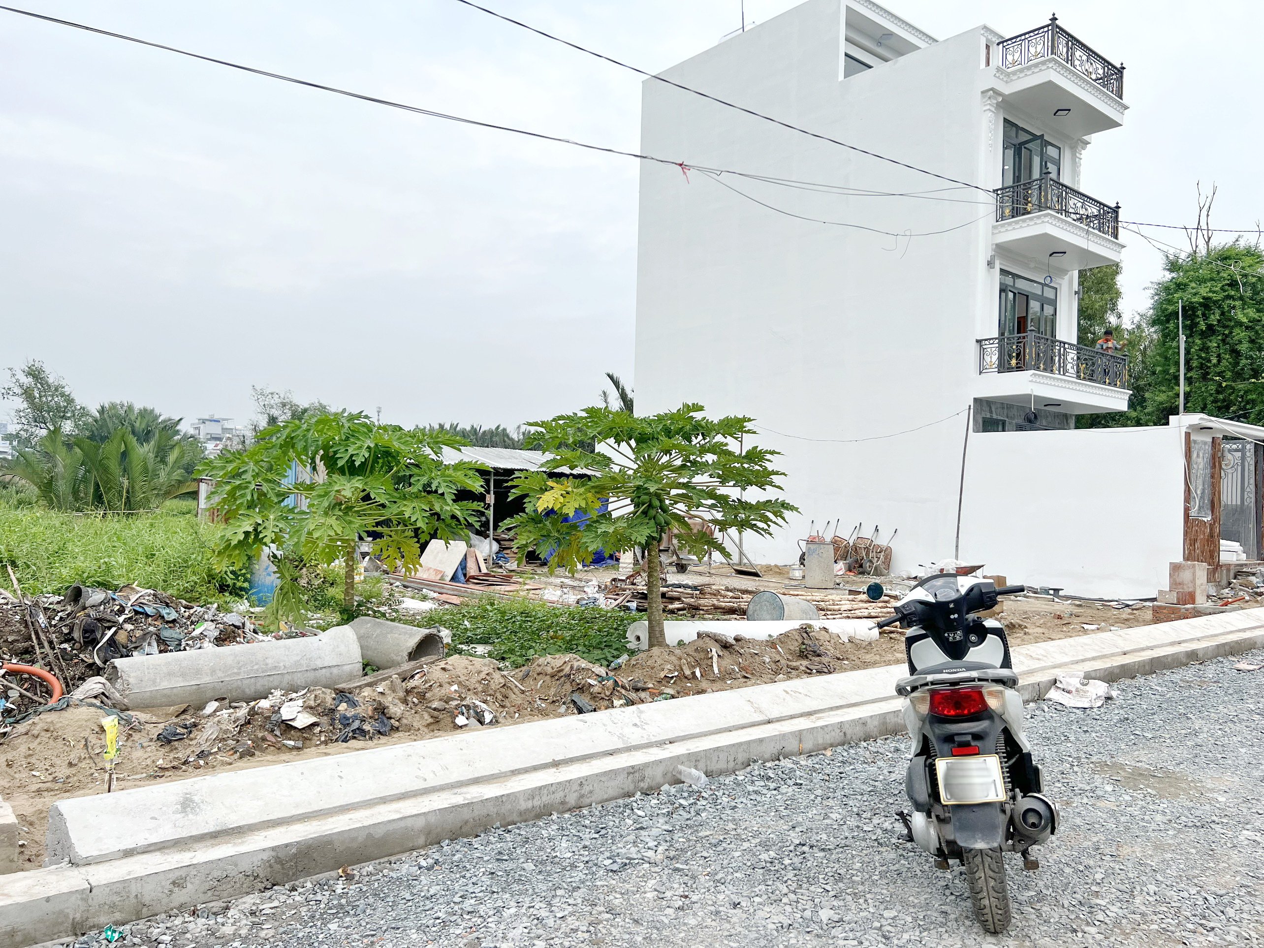 Cần bán Đất đường Số 37, Phường Bình Thuận, Diện tích 62m², Giá 9.6 Tỷ 3