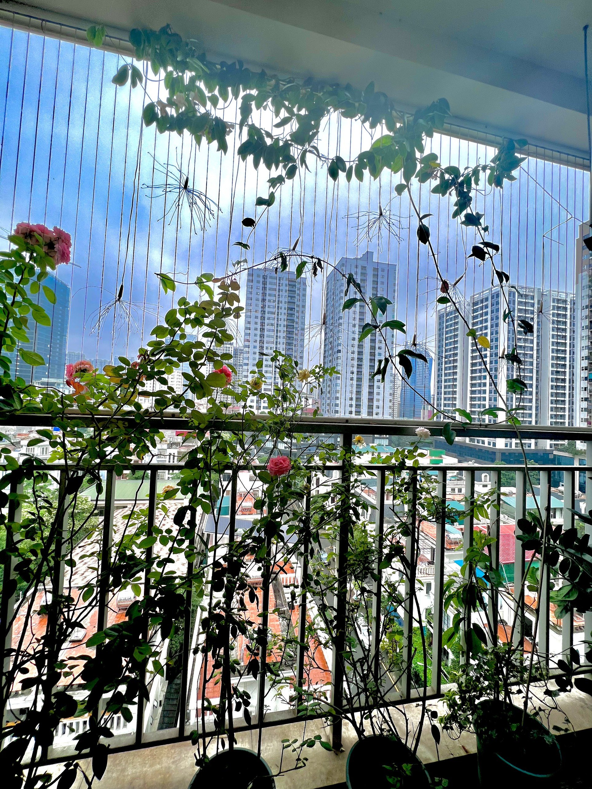 Cần bán Căn hộ chung cư dự án Thanh Xuân Complex, Diện tích 98m², Giá 5 Tỷ 17