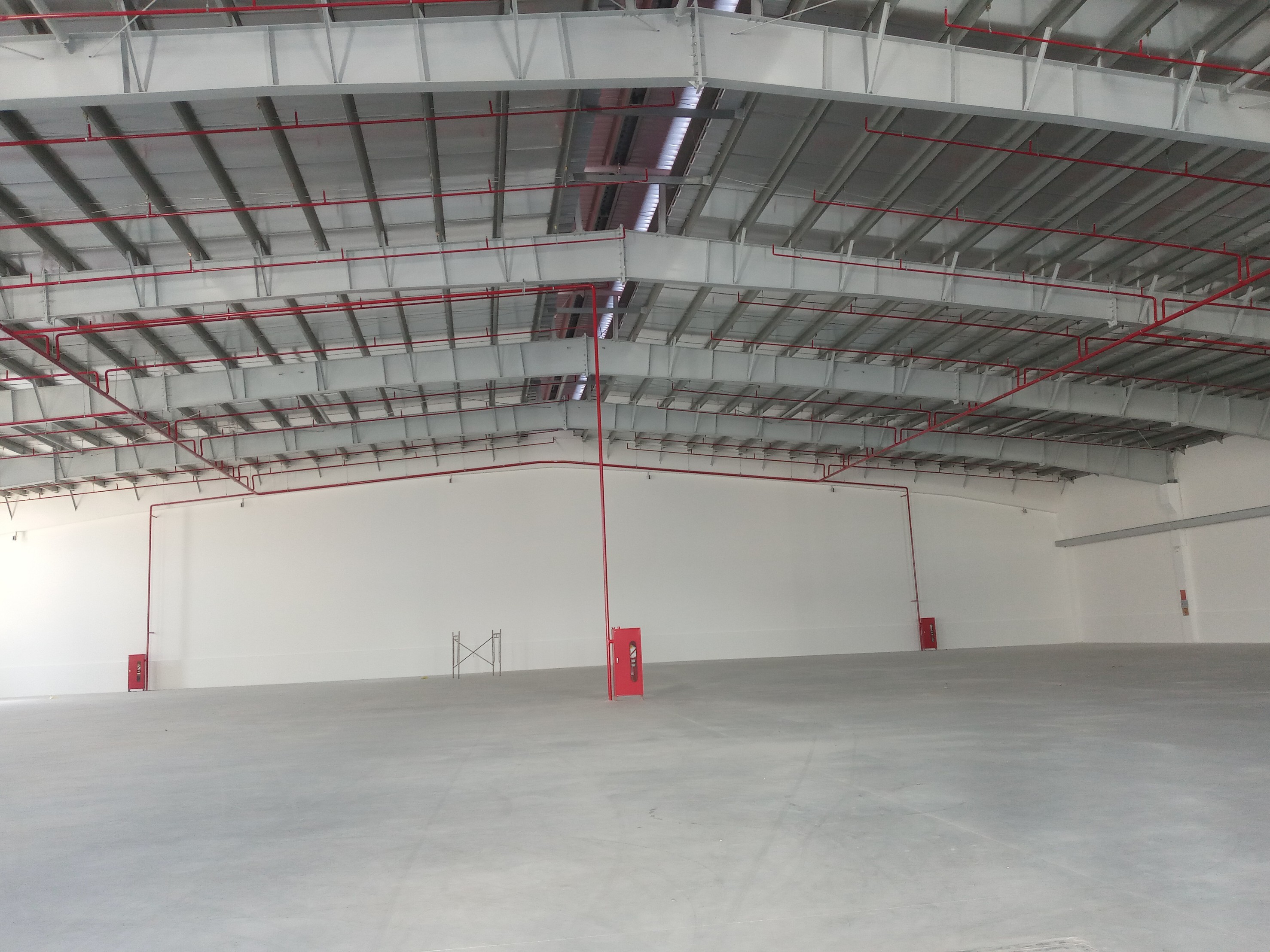 Cho thuê Kho - Nhà xưởng đường 356, Phường Đông Hải 1, Diện tích 3000m², Giá 120 Nghìn/m²/tháng 3