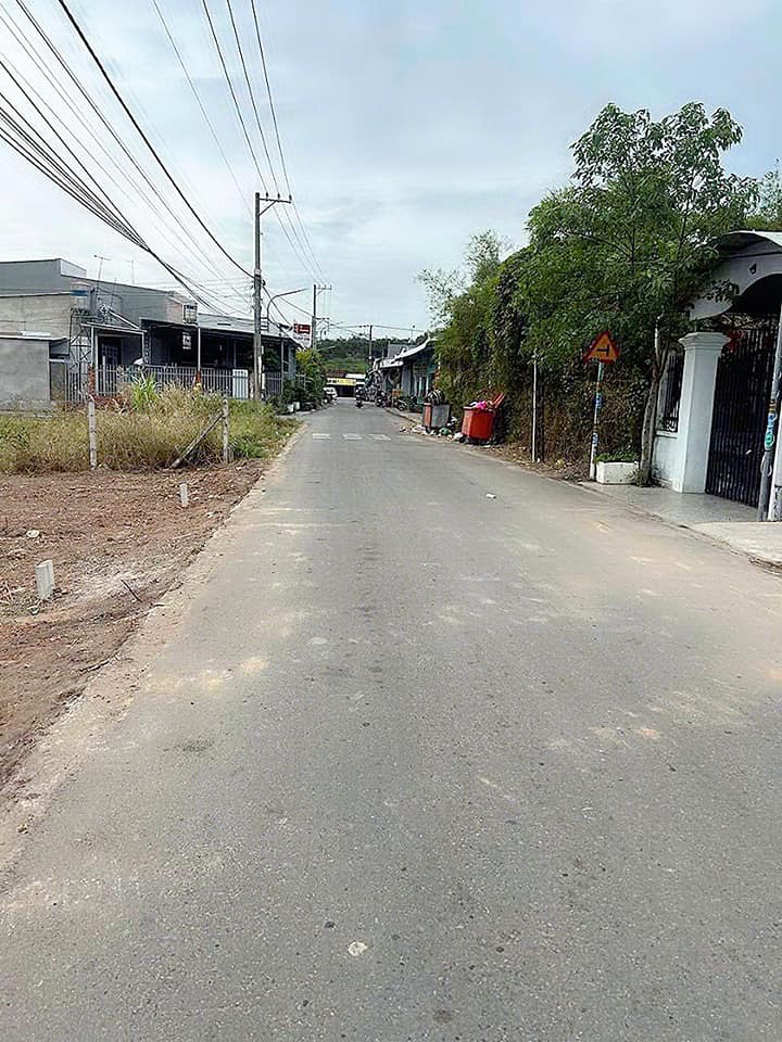 Cần bán Đất đường Nguyễn Văn Trỗi, Xã An Thái, Diện tích 735m², Giá 750 Triệu 3