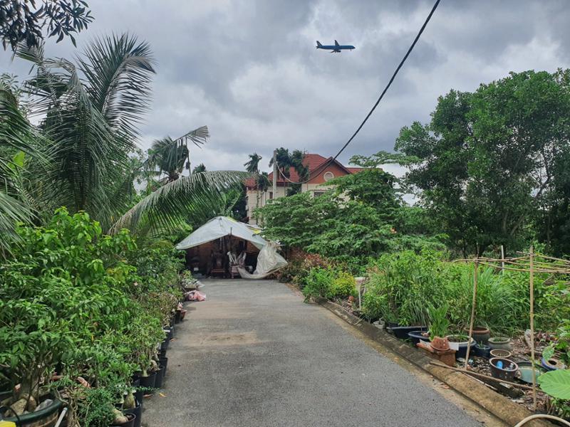 Ngân Hàng Thanh Lý  đất sổ riêng Vườn Lài, an phú đông quận 12, Giá nhỉnh 3 tỷ 2