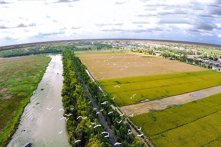 Cần bán Đất Xã Eachà Rang, Sơn Hòa, Diện tích 500m², Giá 180 Triệu 1