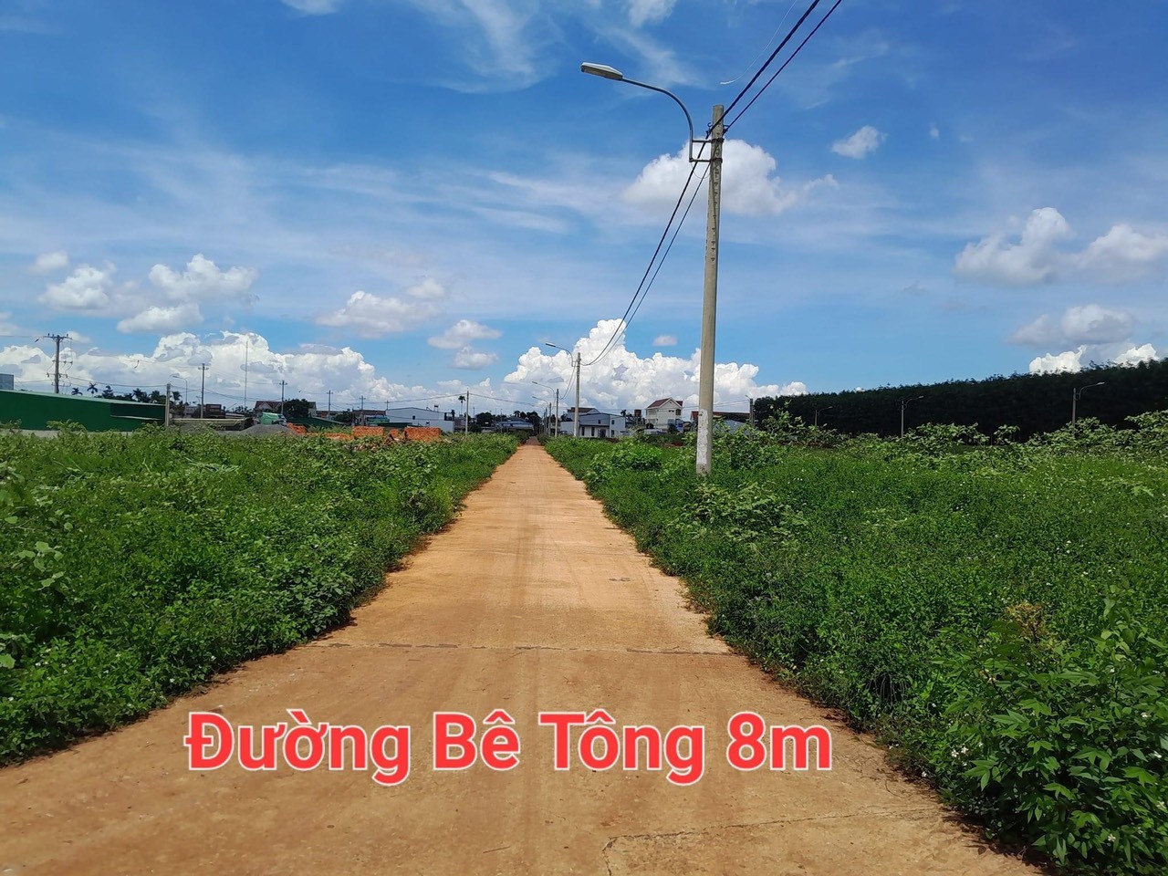 Cần bán Đất đường Hùng Vương, Xã Phú Lộc, Diện tích 132m², Giá 550 Triệu 3