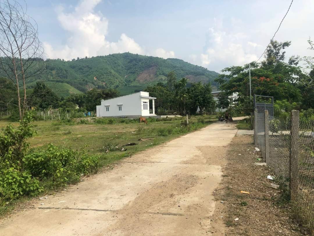 Bán đất Khánh Phú giá rẻ sau lưng khu công nghiệp Sông Cầu 1