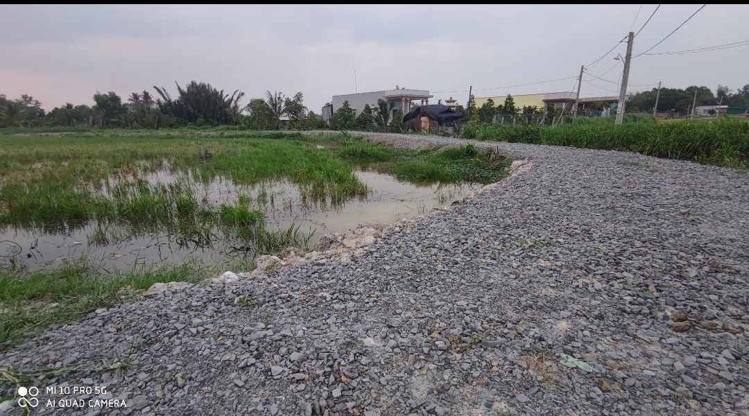 Bán lô đất lúa vườn xã Đức Tân  chuyển thổ giá 3,34 tỷ 4