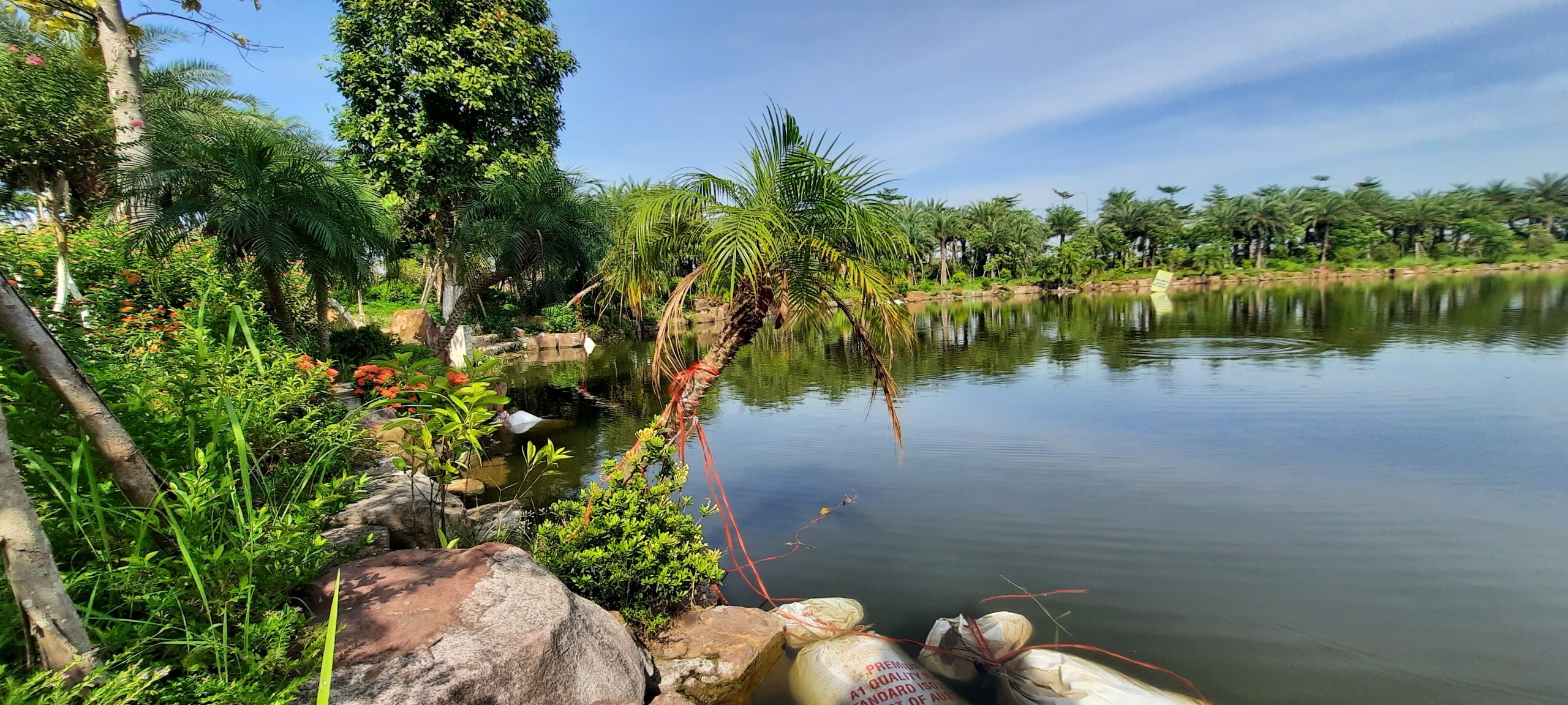 Cần tiền bán rẻ lô liền kề LK3 Vườn Hồng, dự án Từ Sơn Garden City - Mặt sau shophouse, nhìn ra hồ 2