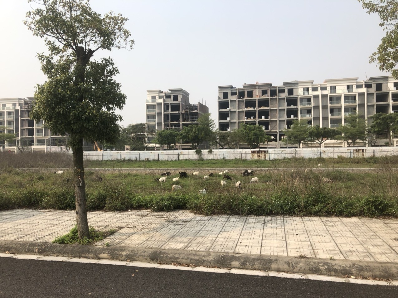 Cần tiền bán rẻ lô liền kề LK3 Vườn Hồng, dự án Từ Sơn Garden City - Mặt sau shophouse, nhìn ra hồ 5