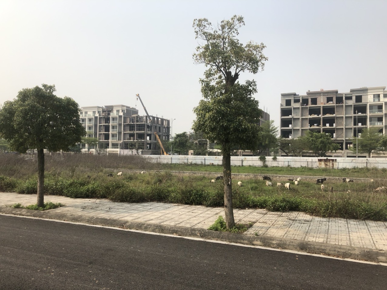 Cần tiền bán rẻ lô liền kề LK3 Vườn Hồng, dự án Từ Sơn Garden City - Mặt sau shophouse, nhìn ra hồ 9