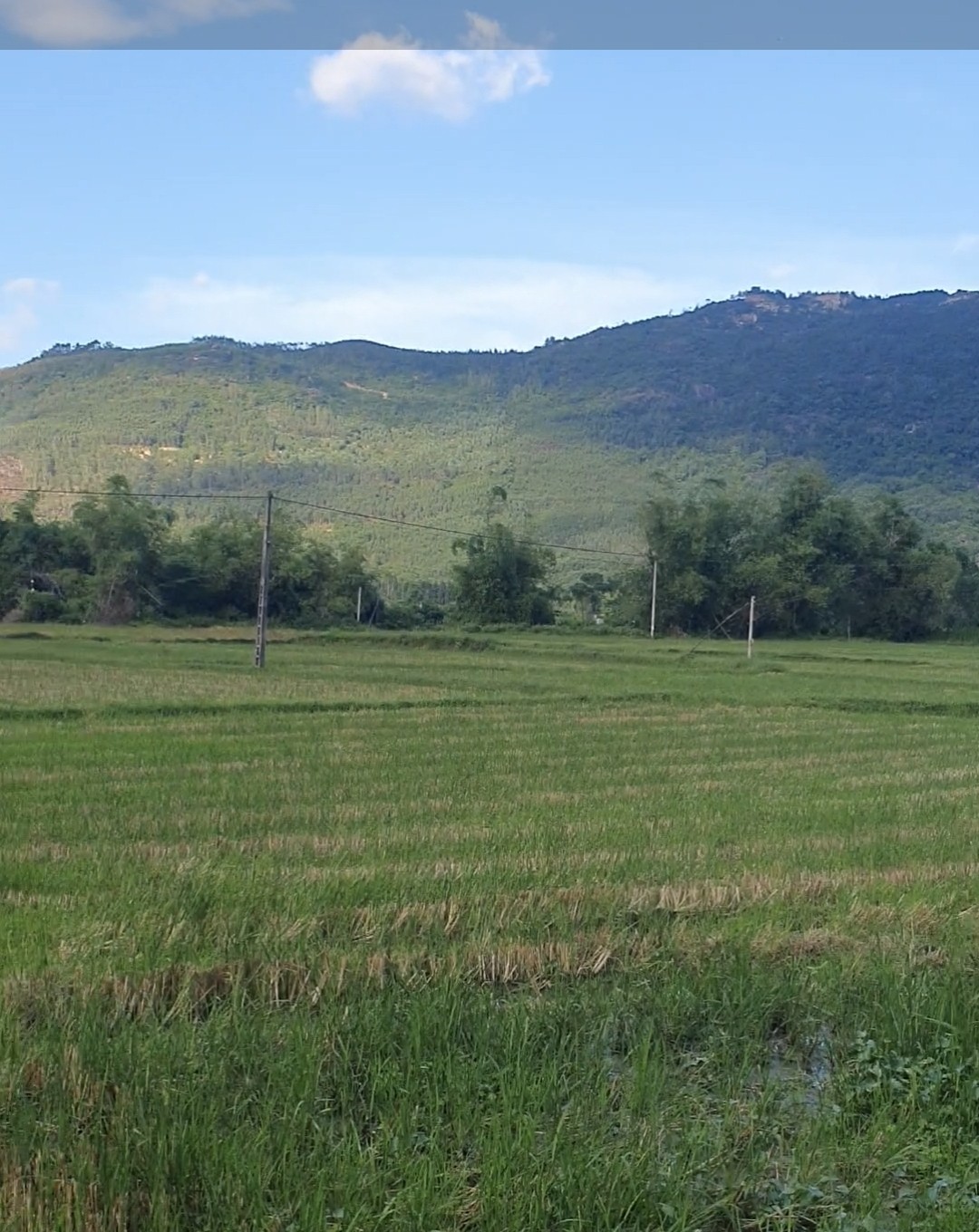 Cần bán lô đất rẻ nhất khu vực thuộc Phước Thành, Tuy Phước, Bình Định  #350tr 5