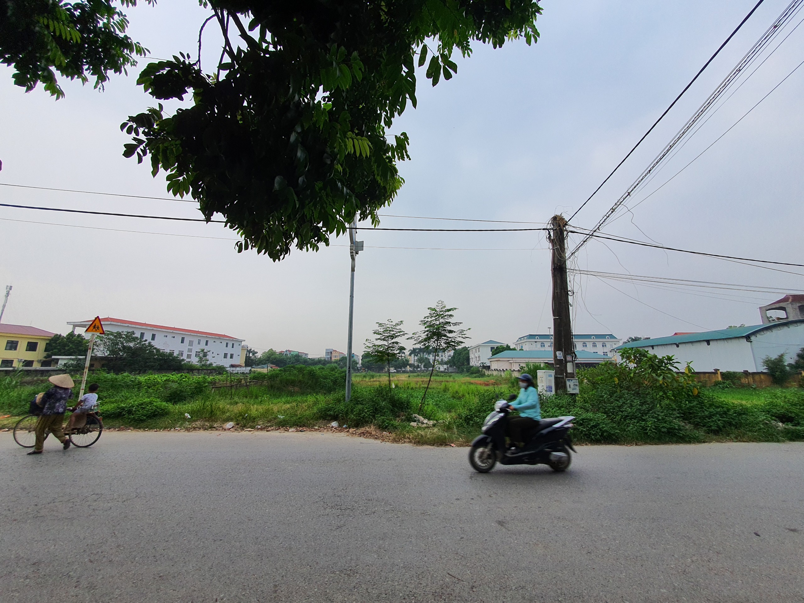 Cần bán Đất Thị trấn Hợp Hòa, Tam Dương, Diện tích 317m², Giá 18 Triệu/m² 6