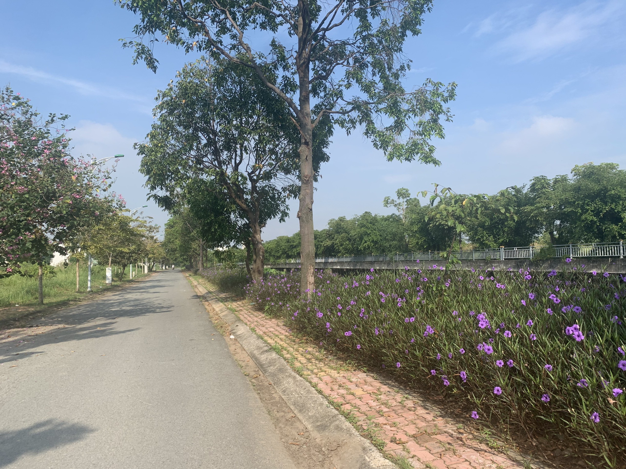 Cần bán lô đất 123m2 kế bên Sài Gòn, nhánh sông Sài Gòn, đối diện công viên Vĩnh Phú 6