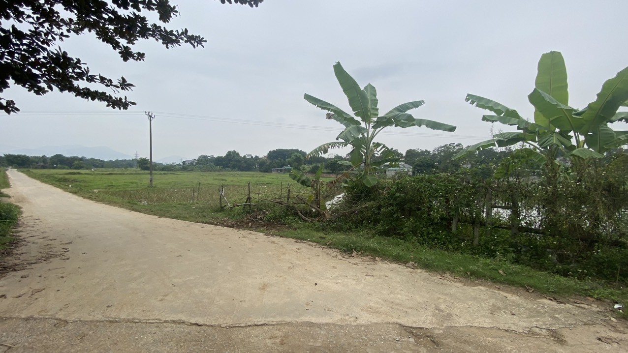 Cần bán Đất đường Đồng Chanh, Xã Nhuận Trạch, Diện tích 200m², Giá Thương lượng 3