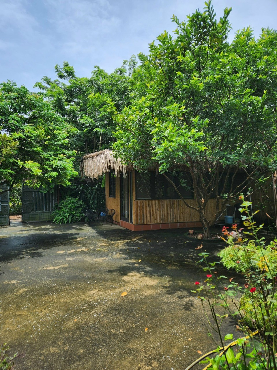 Chính chủ cần bán nhà vườn vị trí đẹp phường Nhật Tân, quận Tây Hồ, thành phố Hà Nội. 2