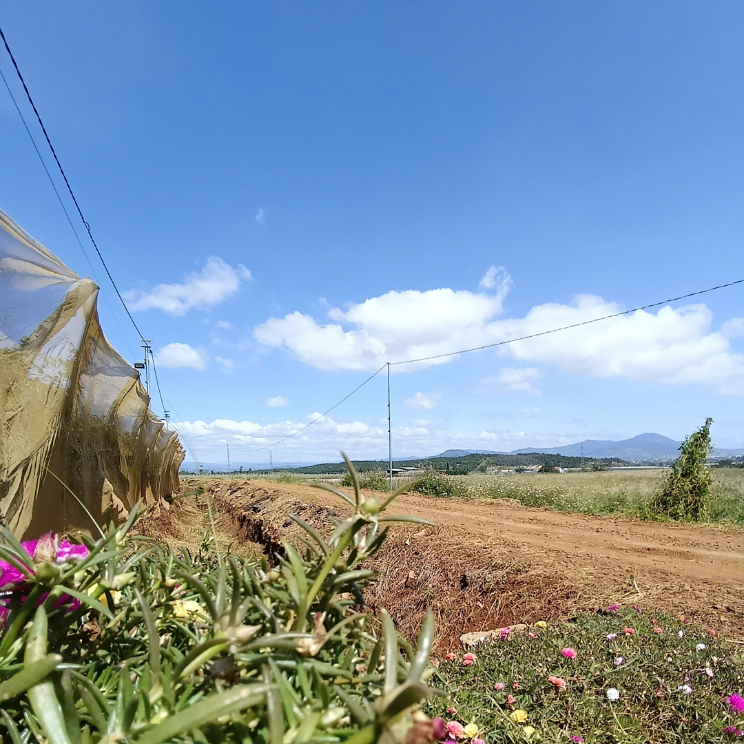 BÁN ĐẤT SÀO VIEW NÚI R'CHAI TUYỆT ĐẸP - TÂN HỘI, ĐỨC TRỌNG, LÂM ĐỒNG 2