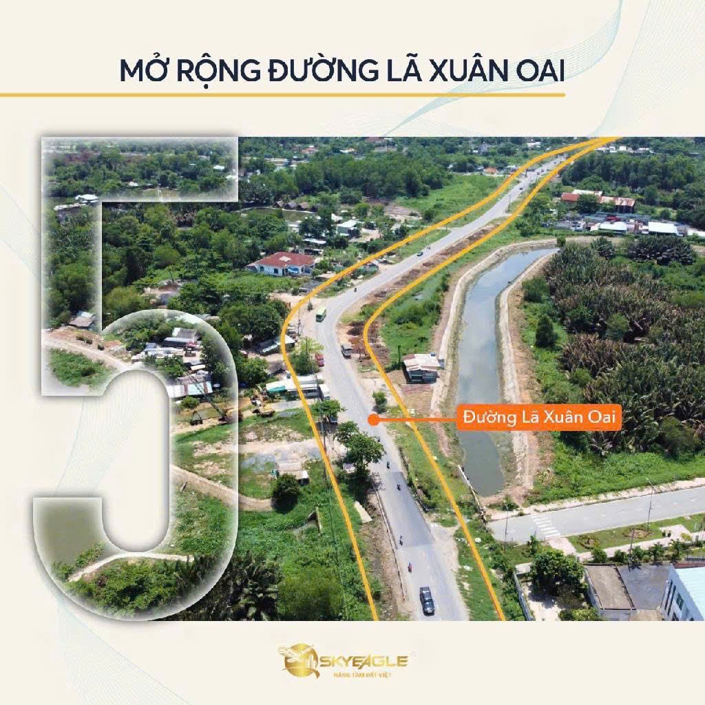 Cần bán Đất Phường Tăng Nhơn Phú A, Quận 9, Diện tích 256m², Giá 15.6 Tỷ 3