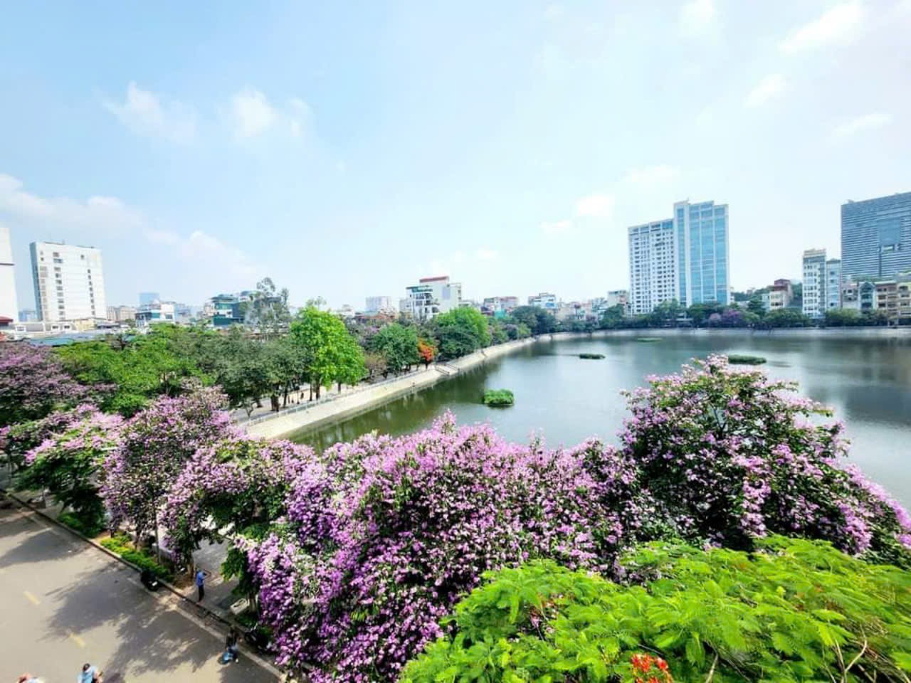 Cho thuê nhà 5 tầng mặt tiền 4m view Hồ Đắc Di, Đống Đa, Hà Nội 3