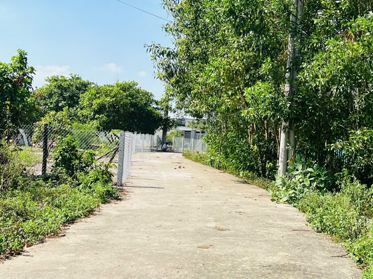 Cần bán Đất đường Võ Văn Kiệt, Xã Lộc An, Diện tích 1000m², Giá 1 Tỷ 2