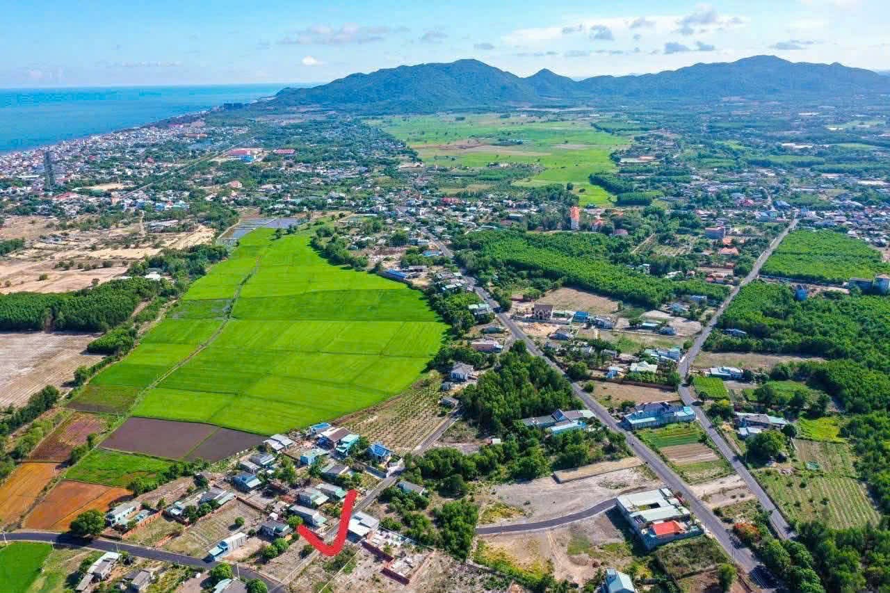 Cần bán Đất đường Võ Văn Kiệt, Xã Phước Hội, Diện tích 768m², Giá 1.7 Tỷ 3