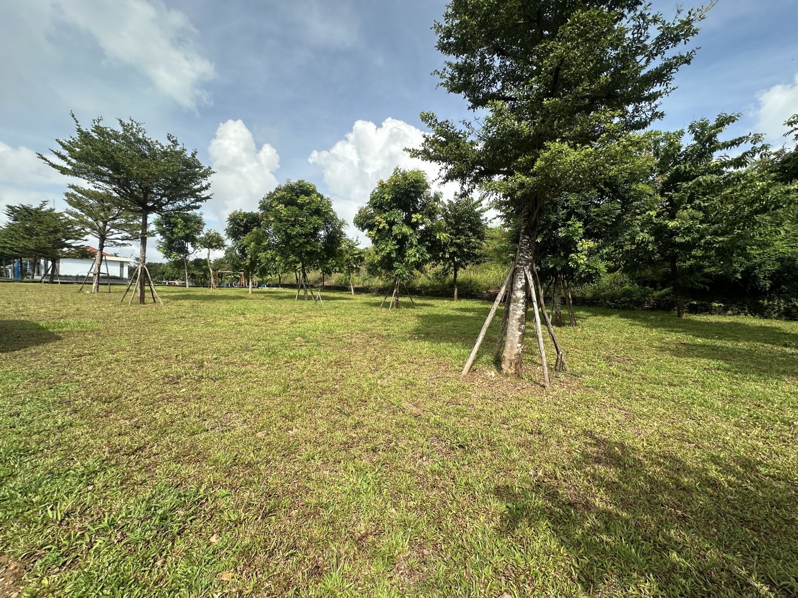 ĐẤT MẶT TIỀN NGUYỄN NHƯ ĐÃI – VỊ TRÍ KINH DOANH ĐẮC ĐỊA CHỈ 3,6 TỶ! 3