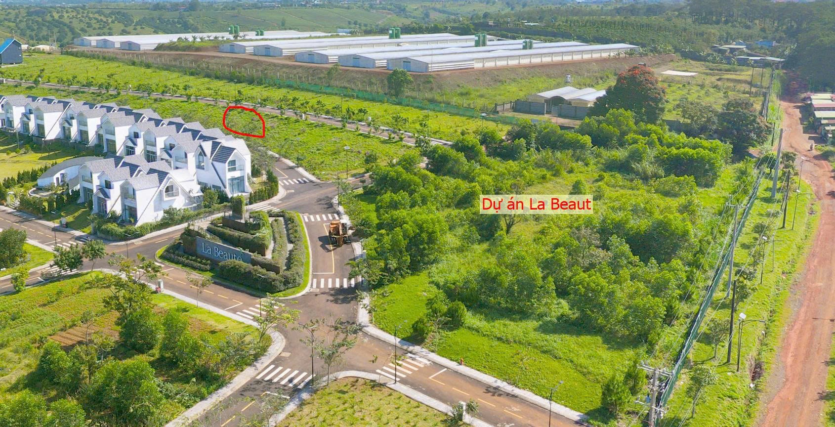 Cần bán Đất đường Lý Thái Tổ, Xã Lộc Tân, Diện tích 1622m², Giá 9.3 Triệu/m²