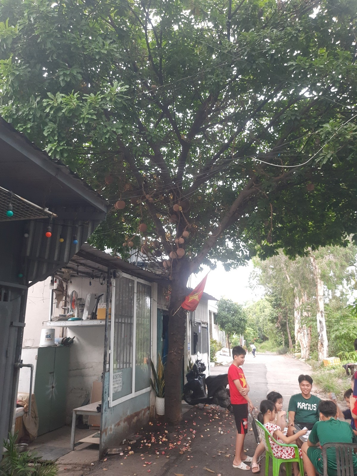 Căn nhà 30m² cực rẻ chỉ 1,32ty Phường Thạnh Xuân Quận 12