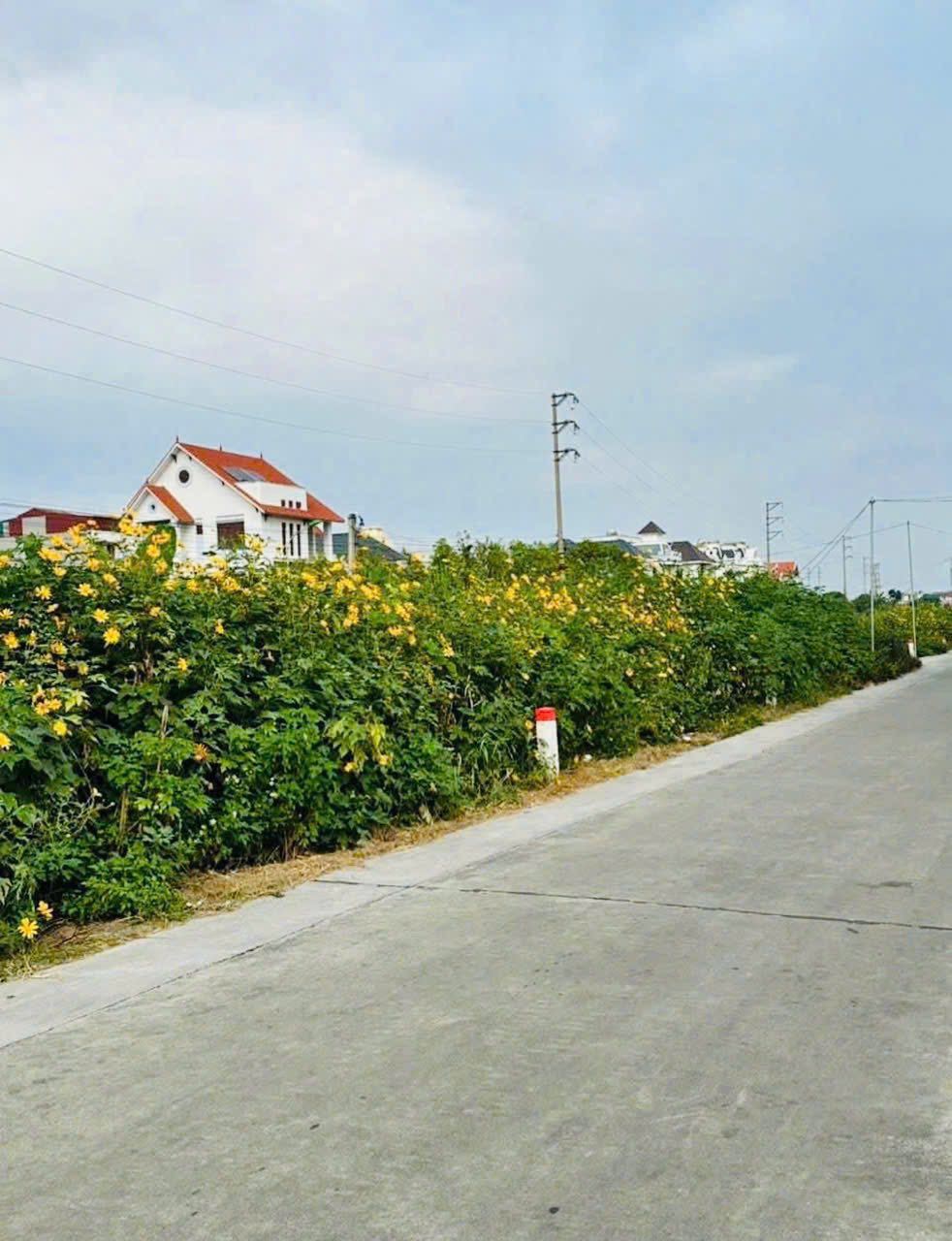 Bán lô biệt thự view sông KĐT An Phú, ph Tân Bình, TP Hải Dương, 257m2, mt 10m, giá tốt