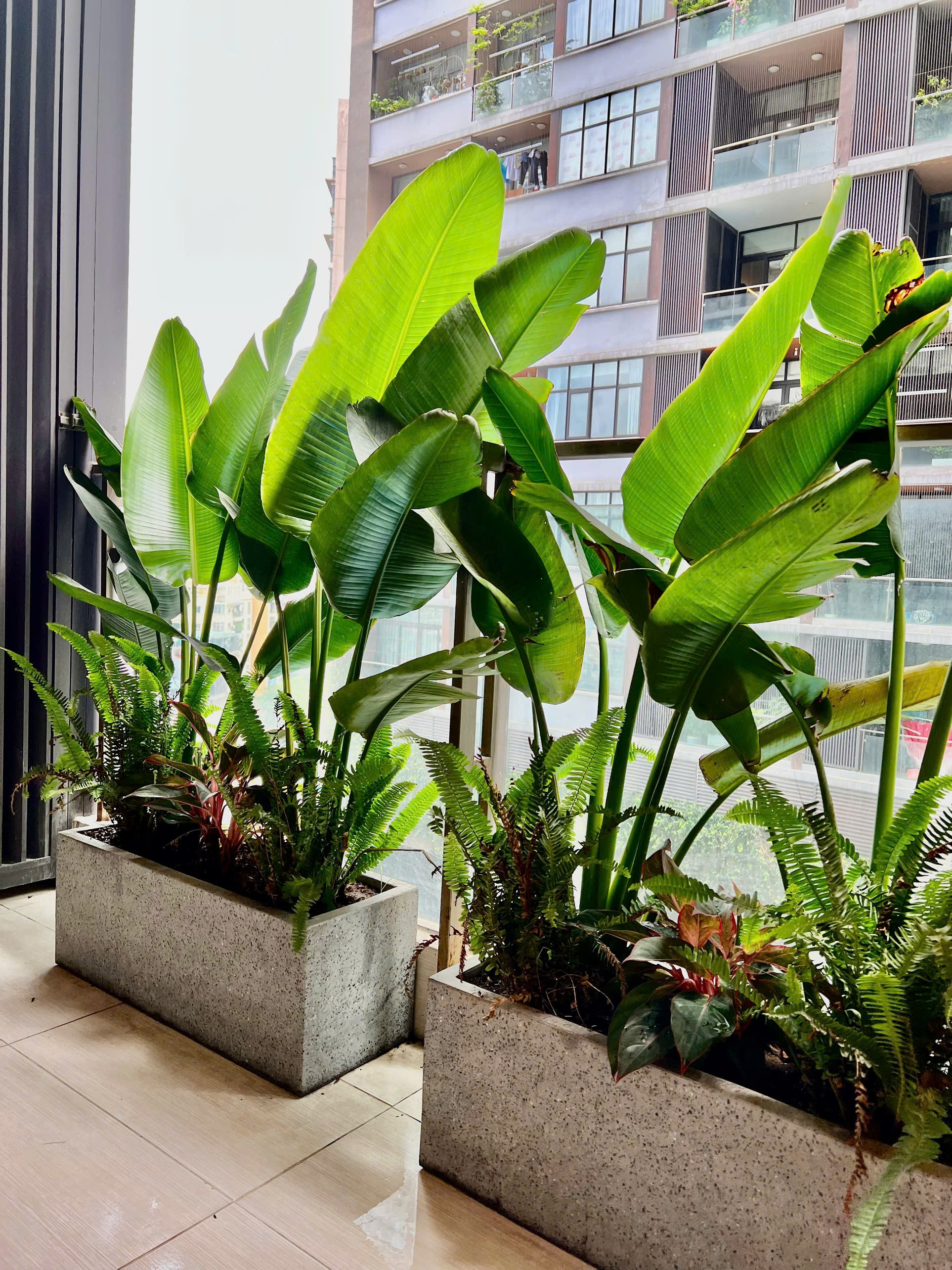 THANH XUÂN COMPLEX - Cần bán nhanh căn hộ 2 ngủ 88m2 cực đẹp 5