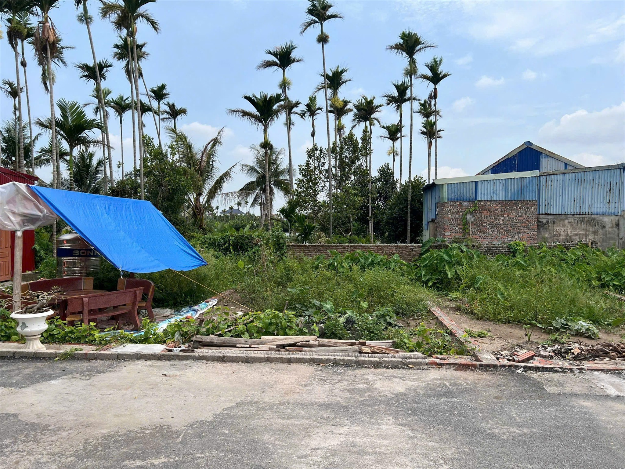 Lô giá hiếm 9xx triệu – mặt đường nhựa 6m Nhà Mạc Hòa Nghĩa ZALO 0567 222 555 2