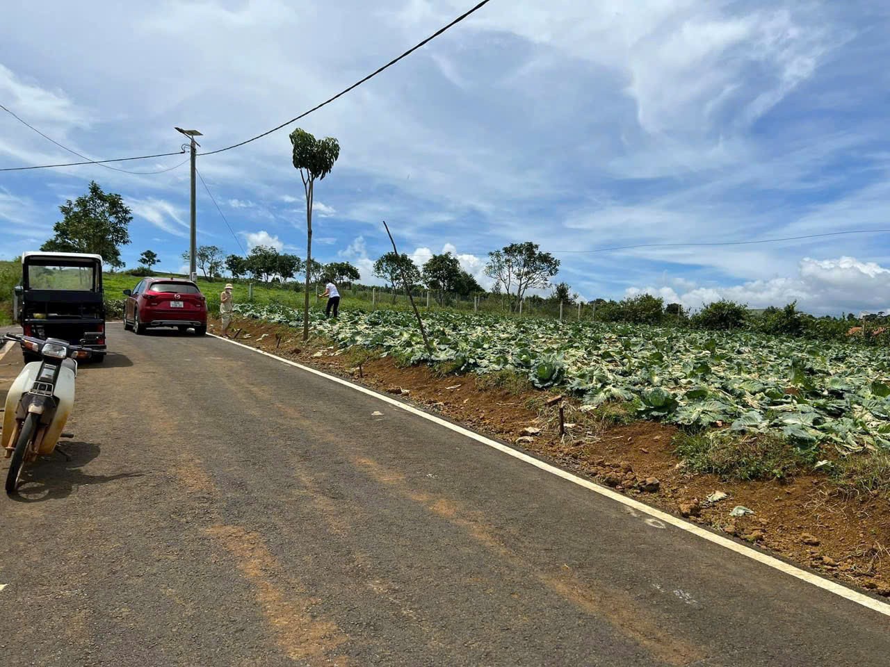 [HOT] Sở hữu ngay 1 lô tại NaLi Chill - Homestay and BBQ giá bán chỉ 850TR 2