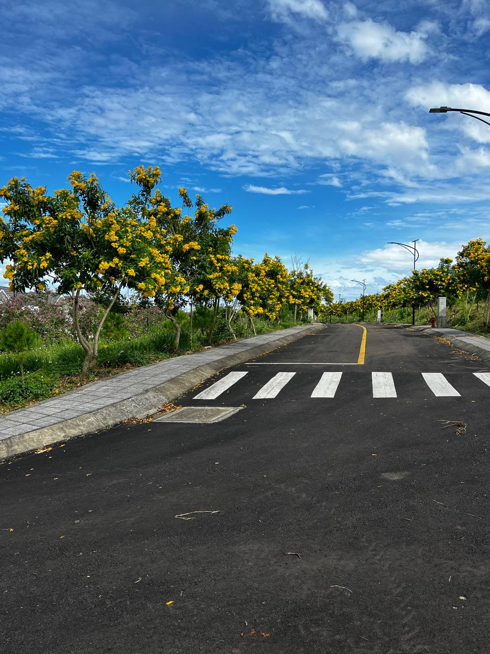 Cần bán Đất đường Lý Thái Tổ, Xã Lộc Tân, Diện tích 1622m², Giá 9.3 Triệu/m² 2