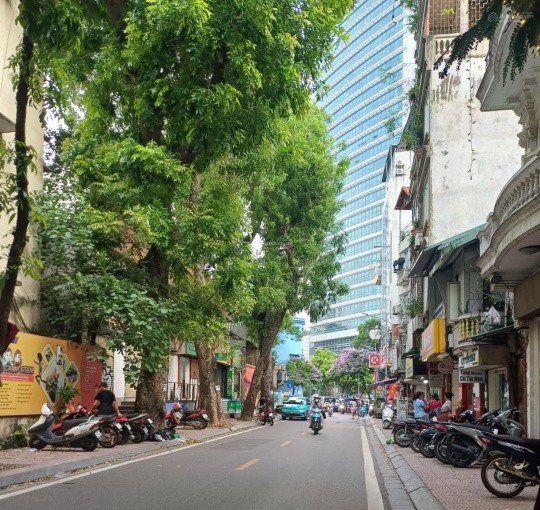 Mặt Phố Phó Đức Chính 48M2 Mặt Tiền 4,56M 26.9 Tỷ  2 Mặt Phố trước sau