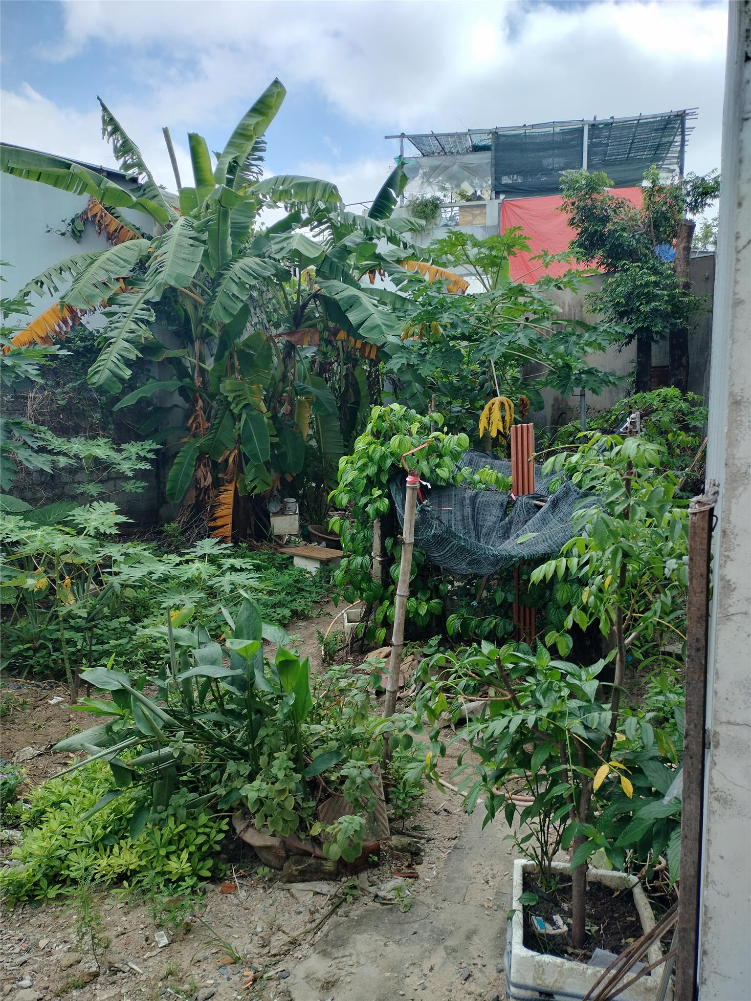 LÔ ĐẤT HIẾM – ĐẸP – RỘNG NGAY HÒA THỌ ĐÔNG – CHỈ 2,8 TỶ!