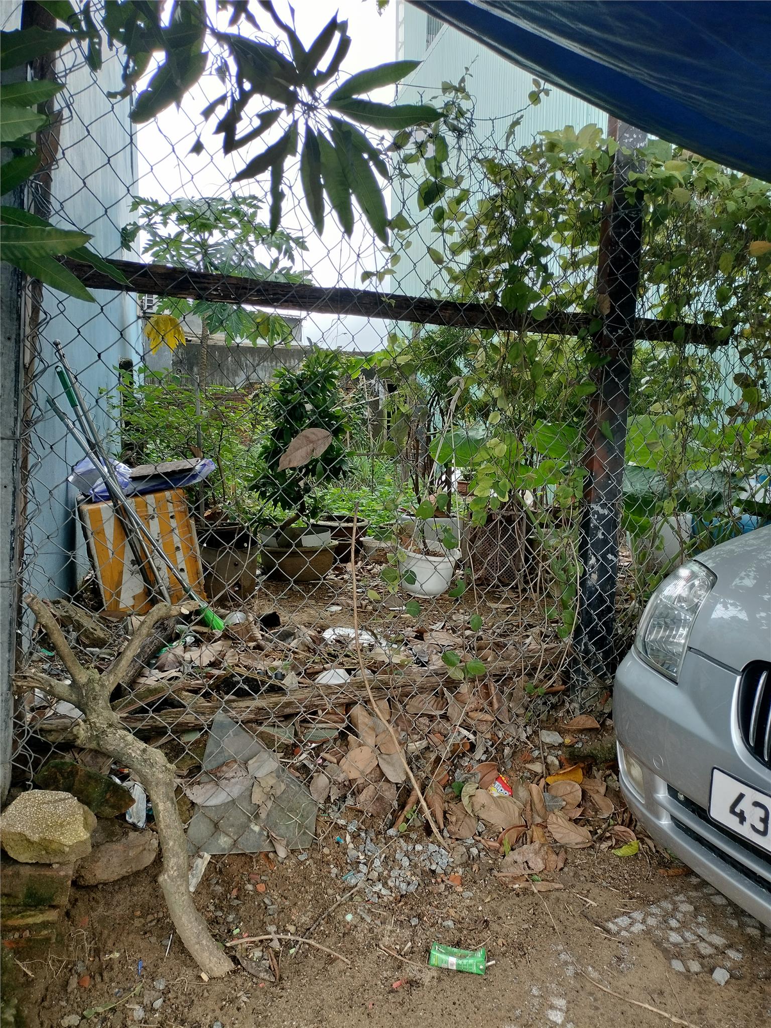 BÁN ĐẤT MẶT TIỀN TRƯỜNG CHINH – GIÁ CHỈ 3,65 TỶ!