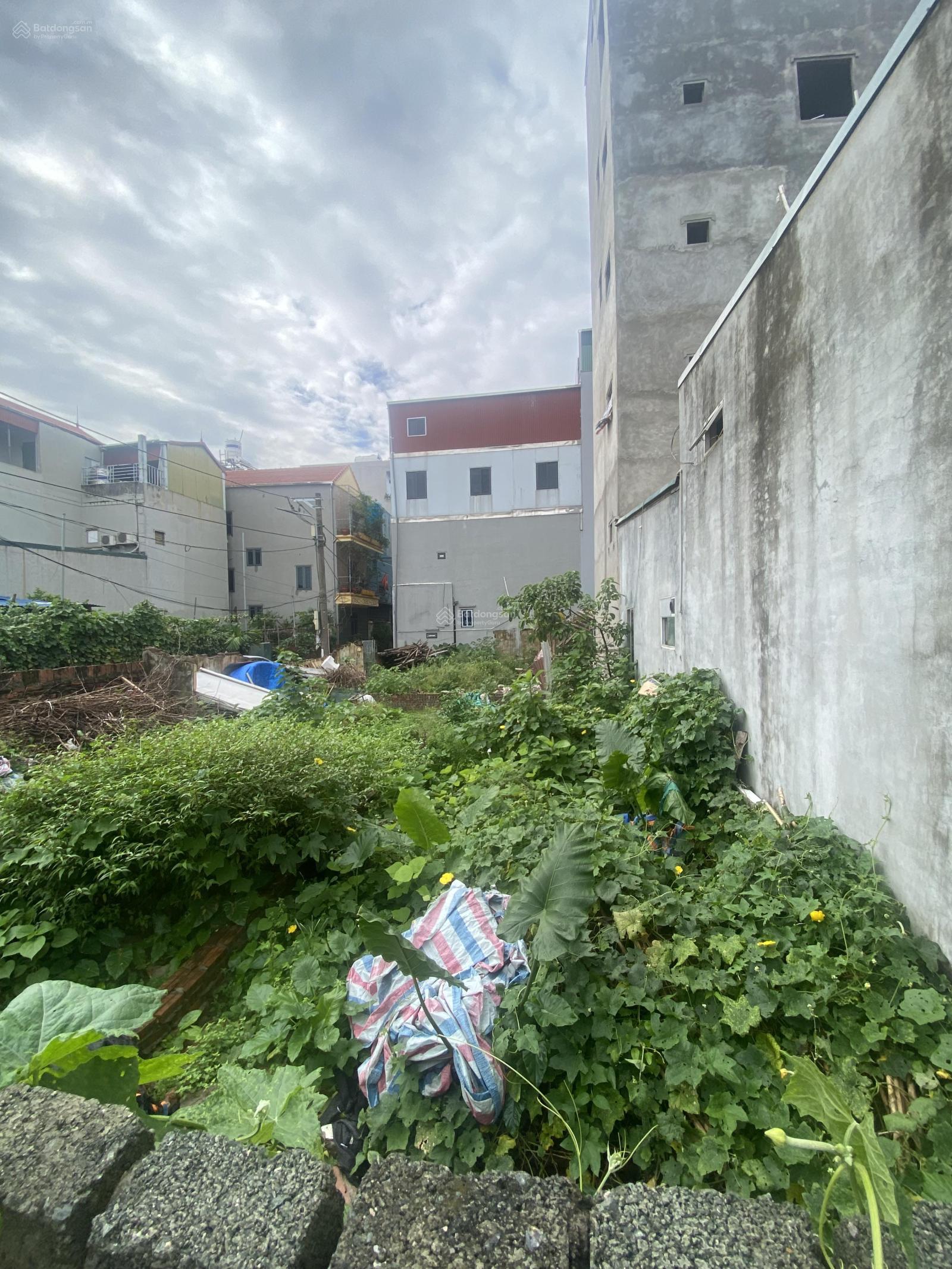 Đất Phân Lô ô Tô ĐT 91m2 - MT 4,2m - An Khánh - Hoài Đức - Thông Phố giá 7,8 Tỷ 3