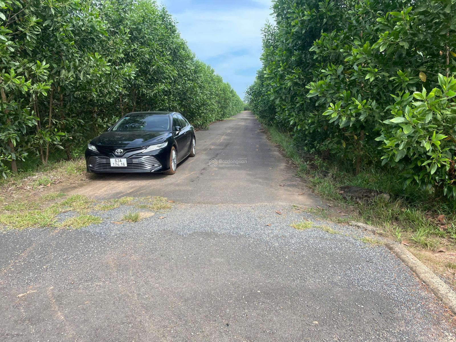 Cần bán Đất Xã Bàu Cạn, Long Thành, Diện tích 3845m², Giá 8,8 Tỷ