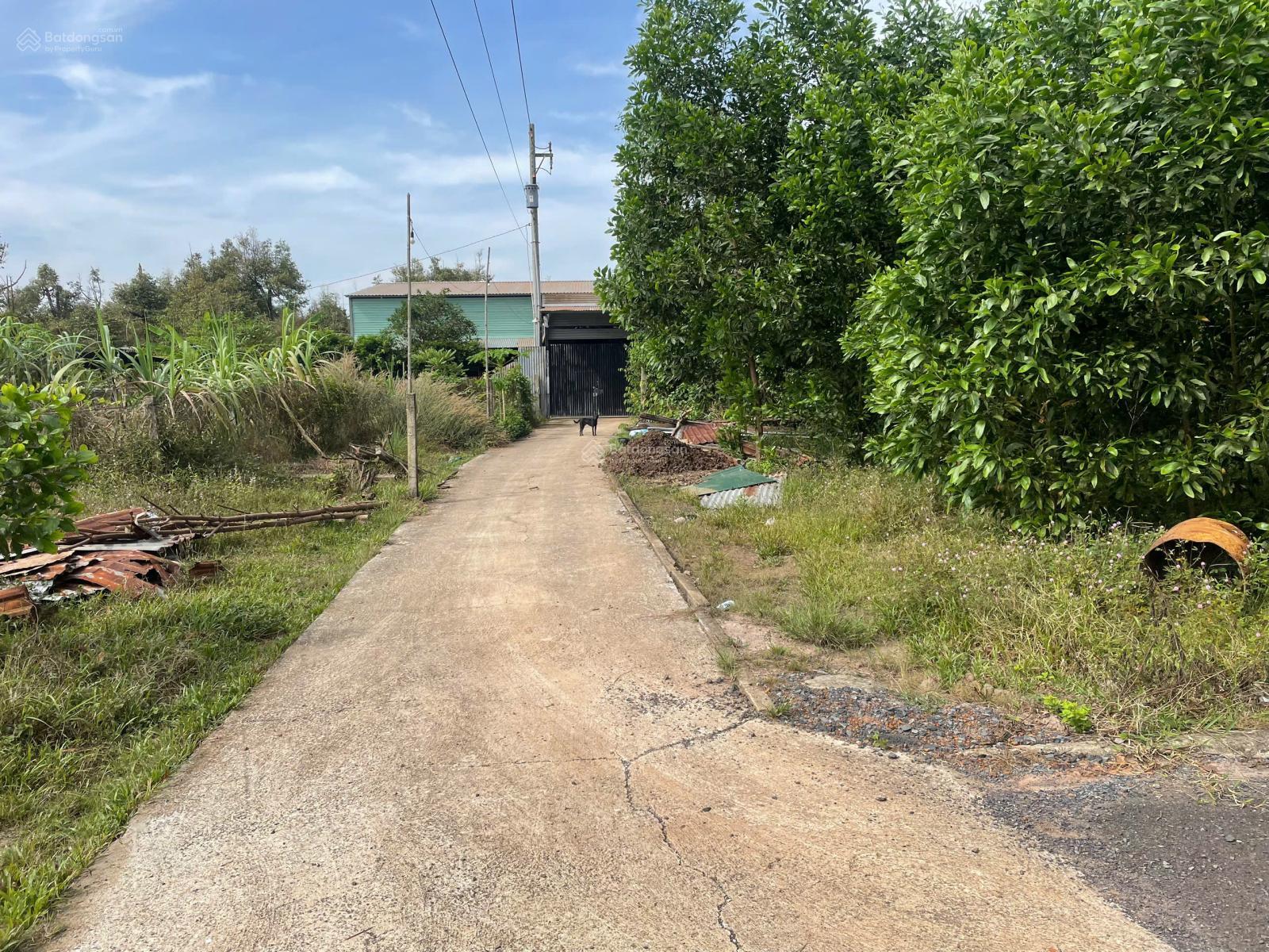 Cần bán Đất Xã Bàu Cạn, Long Thành, Diện tích 3845m², Giá 8,8 Tỷ 3