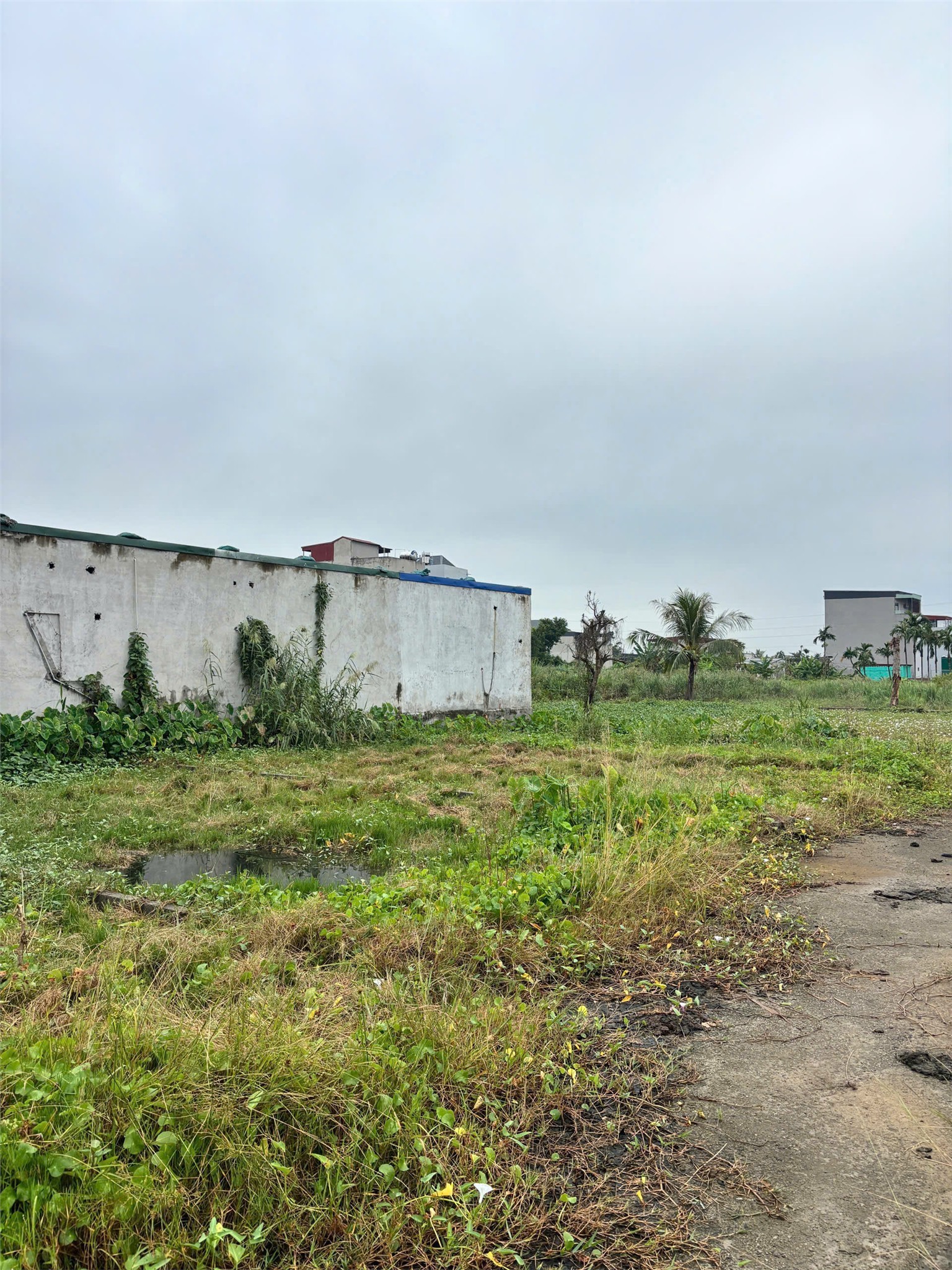 LÔ 58,2M² GIÁ HIẾM 9XX TRIỆU – SÁT ĐƯỜNG QUY HOẠCH 35M – ZALO 0567 222 555 3